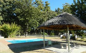 Linga Longa